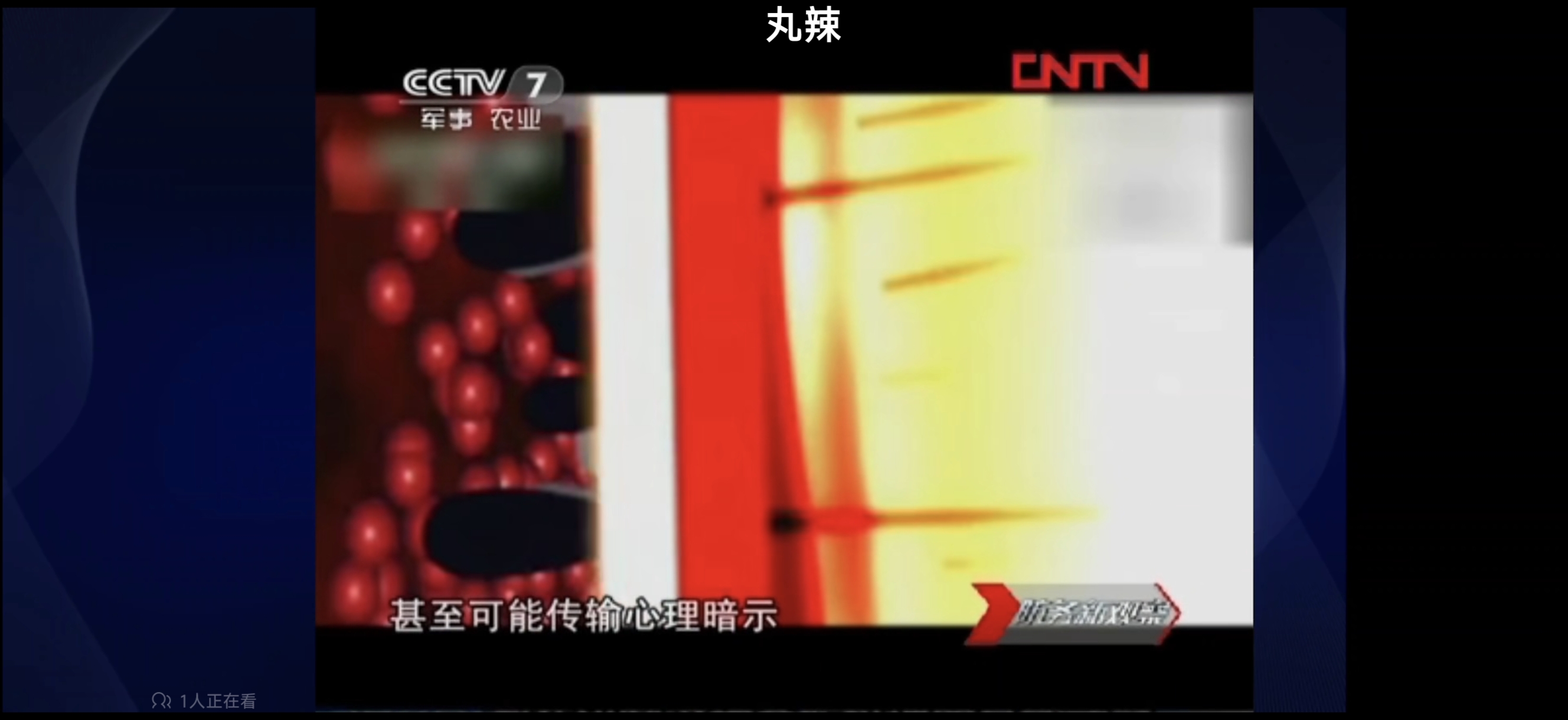 CCTV7防务新观察-微波3.jpg